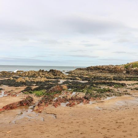 Meadow Lodge Coldingham Extérieur photo