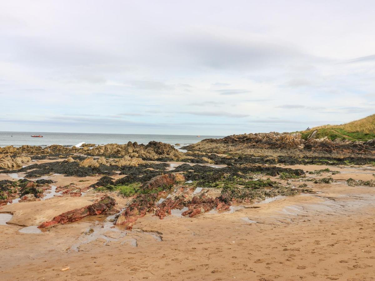 Meadow Lodge Coldingham Extérieur photo