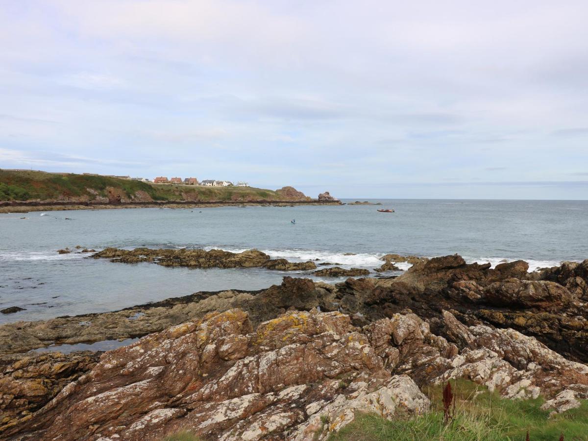 Meadow Lodge Coldingham Extérieur photo